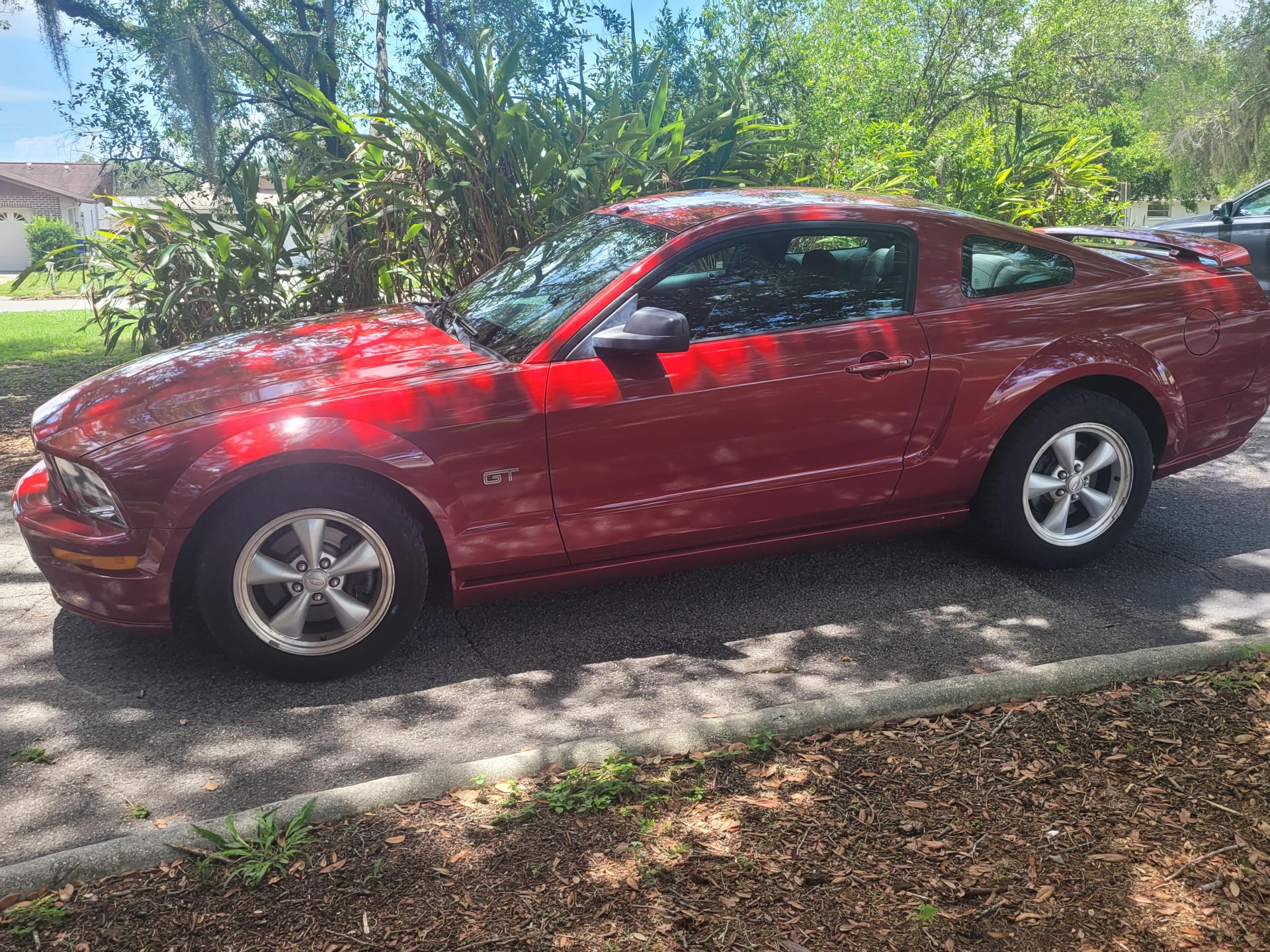 2008 Ford Mustang's photo